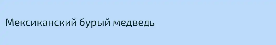 Мексиканский бурый медведь